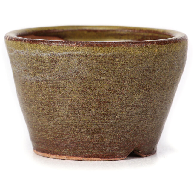 Runde grüne und braune Bonsaischale von Bonsai - 65 x 65 x 45 mm