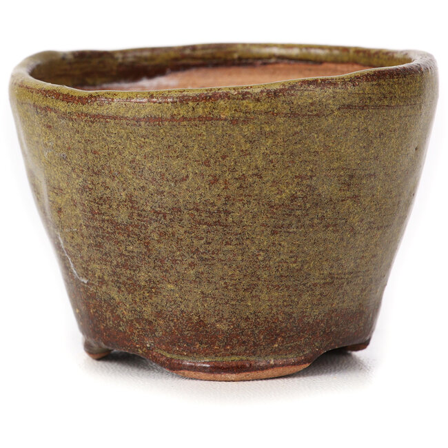 Pot à bonsaï rond vert et marron par Bonsai - 65 x 65 x 45 mm