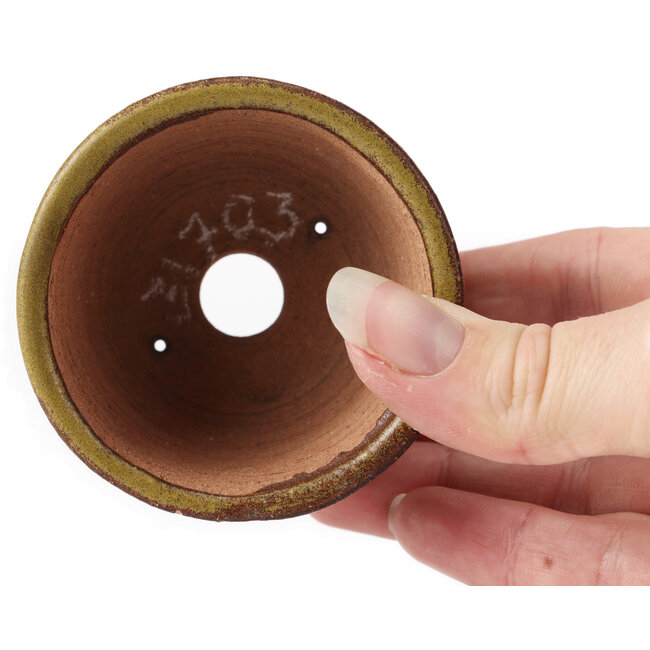 Round green and brown bonsai pot by Bonsai - 65 x 65 x 45 mm