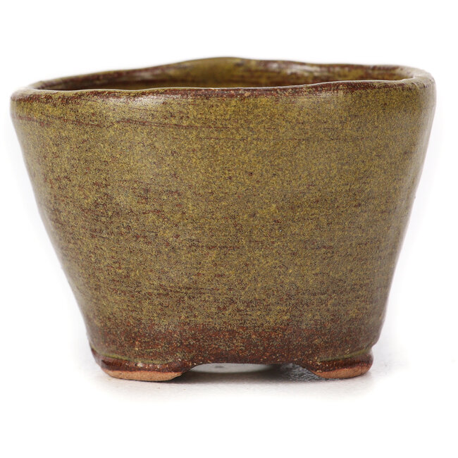 Vaso bonsai rotondo verde e marrone di Bonsai - 65 x 65 x 45 mm