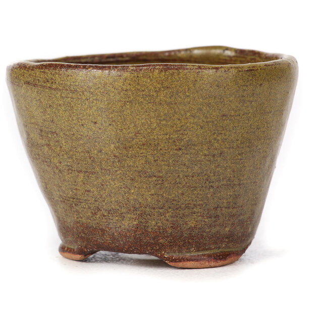 Maceta de bonsái redonda verde y marrón de Bonsai - 65 x 65 x 45 mm