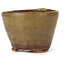 Vaso bonsai rotondo verde e marrone di Bonsai - 65 x 65 x 45 mm