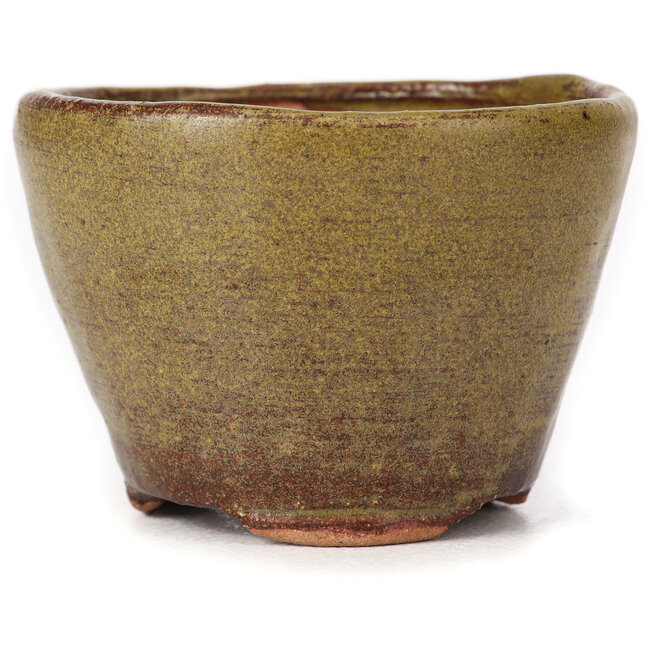 Pot à bonsaï rond vert et marron par Bonsai - 65 x 65 x 45 mm