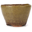 Round green and brown bonsai pot by Bonsai - 65 x 65 x 45 mm