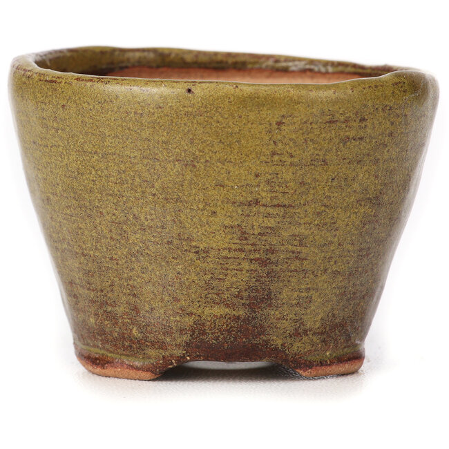 Maceta de bonsái redonda verde y marrón de Bonsai - 65 x 65 x 45 mm