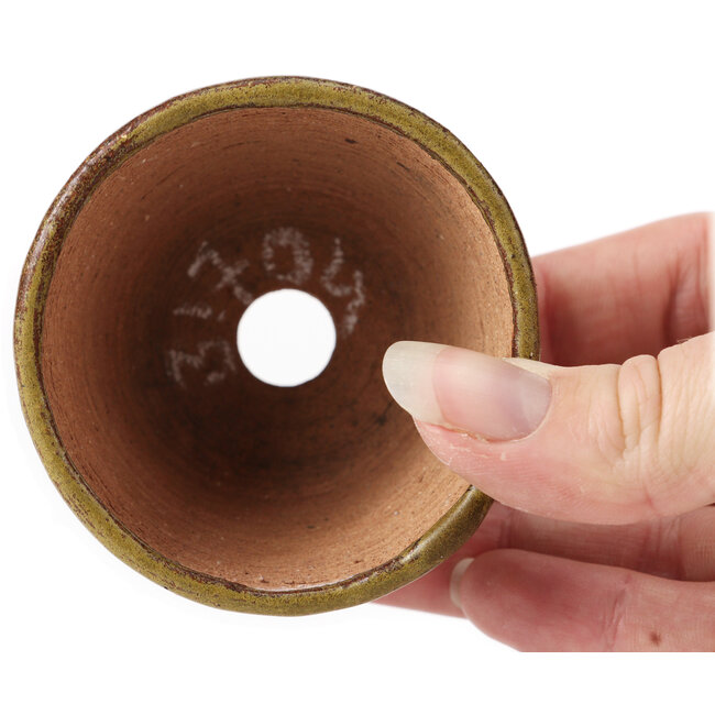 Pot à bonsaï rond vert et marron par Bonsai - 65 x 65 x 45 mm