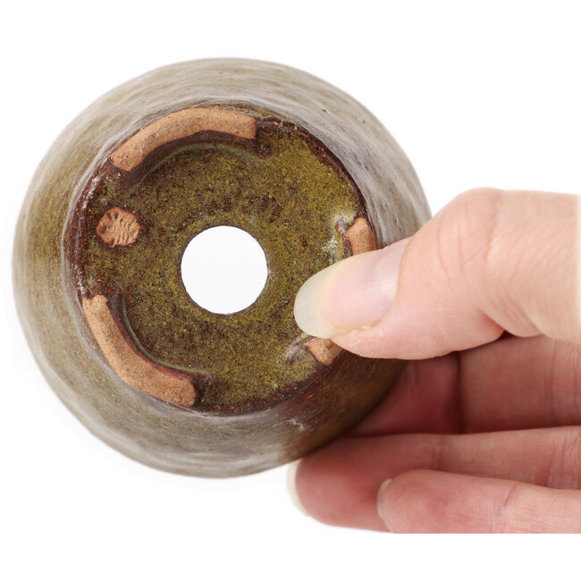 Pot à bonsaï rond vert et marron par Bonsai - 65 x 65 x 45 mm