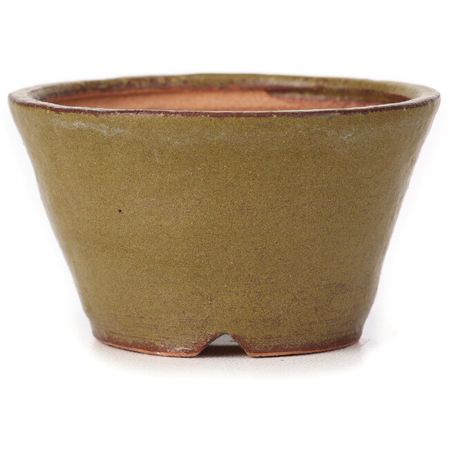 Round green and brown bonsai pot by Bonsai - 70 x 70 x 40 mm