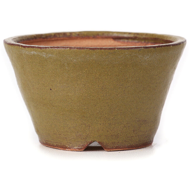 Vaso bonsai rotondo verde e marrone di Bonsai - 70 x 70 x 40 mm