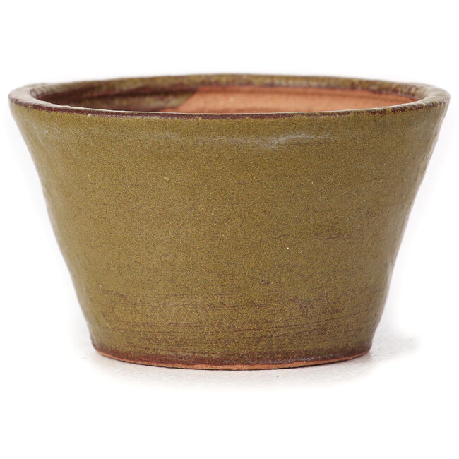 Pot à bonsaï rond vert et marron par Bonsai - 70 x 70 x 40 mm