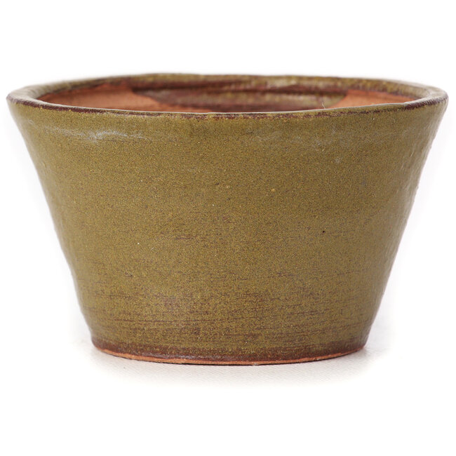Round green and brown bonsai pot by Bonsai - 70 x 70 x 40 mm