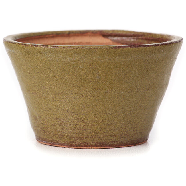 Runde grüne und braune Bonsaischale von Bonsai - 70 x 70 x 40 mm