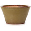 Vaso bonsai rotondo verde e marrone di Bonsai - 70 x 70 x 40 mm
