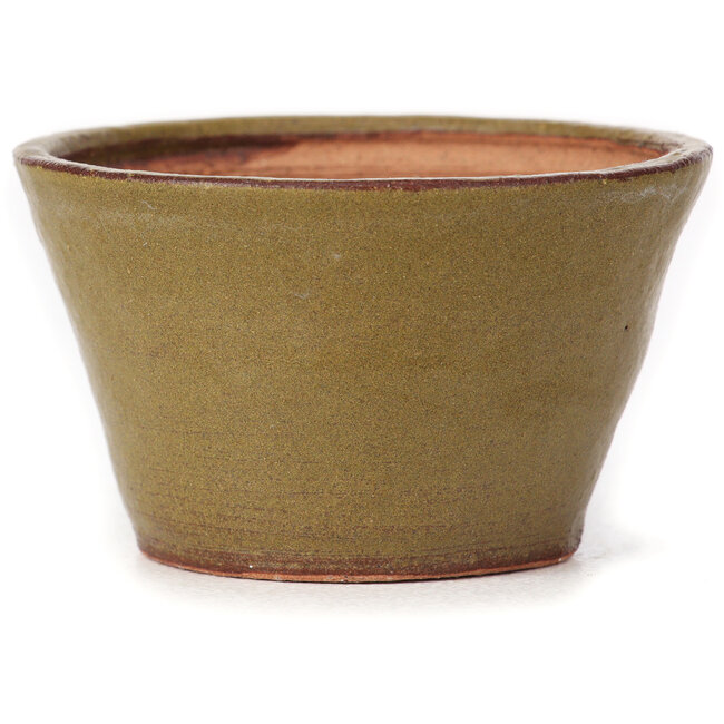 Runde grüne und braune Bonsaischale von Bonsai - 70 x 70 x 40 mm