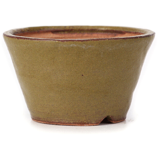 Maceta de bonsái redonda verde y marrón de Bonsai - 70 x 70 x 40 mm