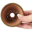 Pot à bonsaï rond vert et marron par Bonsai - 70 x 70 x 40 mm