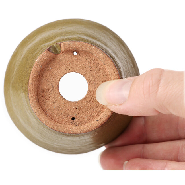 Round green and brown bonsai pot by Bonsai - 70 x 70 x 40 mm