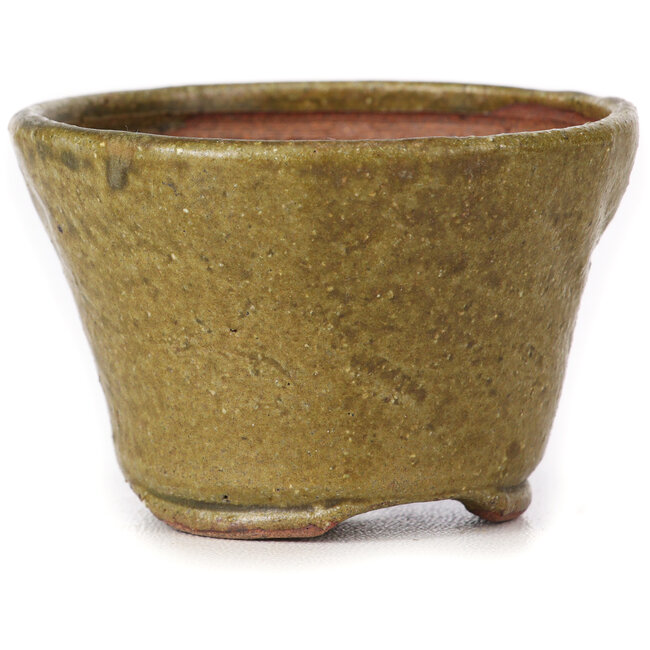 Pot à bonsaï rond vert et marron par Bonsai - 70 x 70 x 45 mm