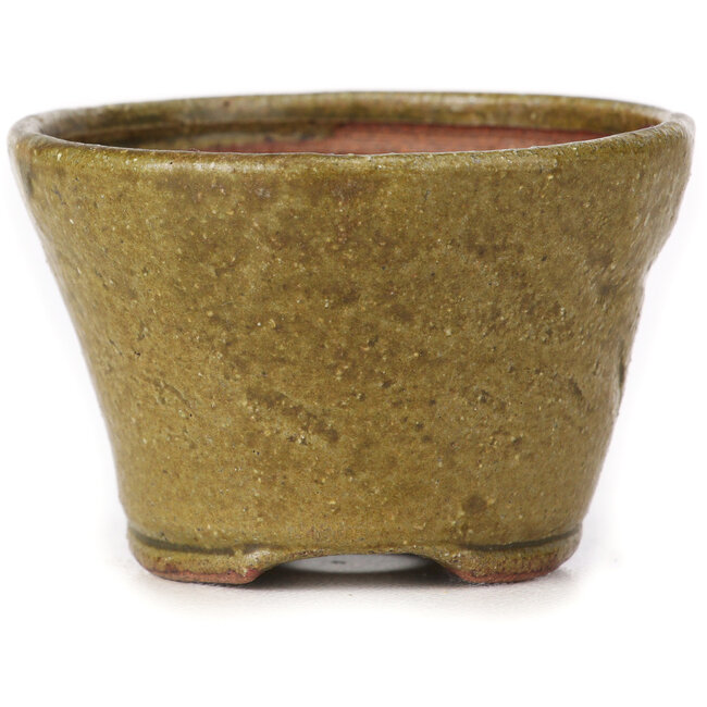 Round green and brown bonsai pot by Bonsai - 70 x 70 x 45 mm