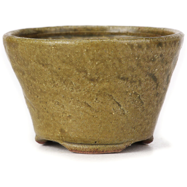 Vaso bonsai rotondo verde e marrone di Bonsai - 70 x 70 x 45 mm