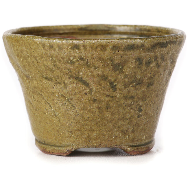 Maceta de bonsái redonda verde y marrón de Bonsai - 70 x 70 x 45 mm