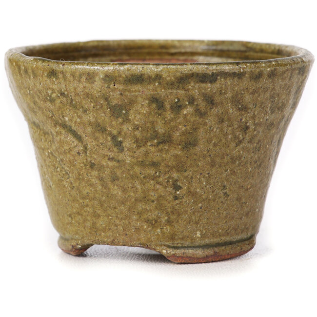 Runde grüne und braune Bonsaischale von Bonsai - 70 x 70 x 45 mm