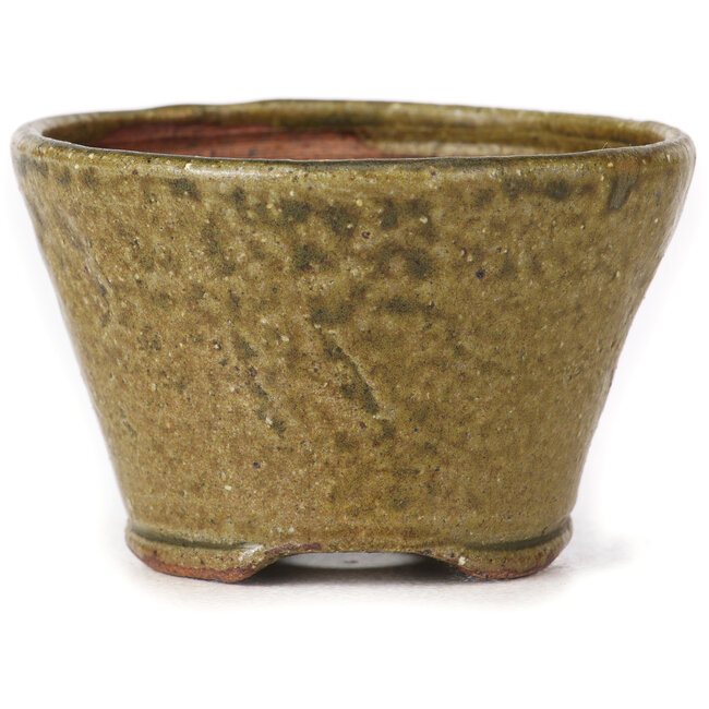 Maceta de bonsái redonda verde y marrón de Bonsai - 70 x 70 x 45 mm