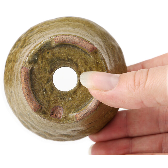 Vaso bonsai rotondo verde e marrone di Bonsai - 70 x 70 x 45 mm