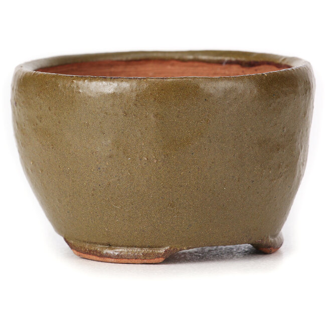 Maceta de bonsái redonda verde y marrón de Bonsai - 65 x 65 x 40 mm