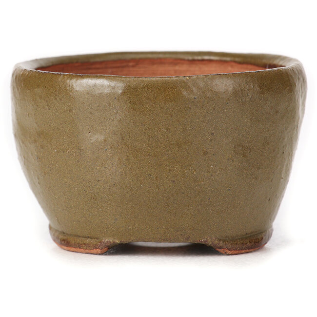 Vaso bonsai rotondo verde e marrone di Bonsai - 65 x 65 x 40 mm