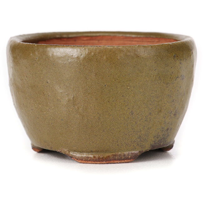 Runde grüne und braune Bonsaischale von Bonsai - 65 x 65 x 40 mm