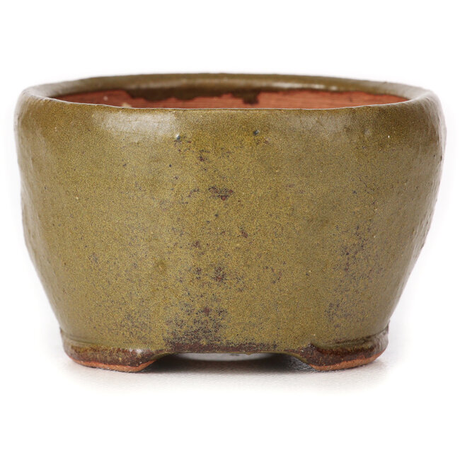 Runde grüne und braune Bonsaischale von Bonsai - 65 x 65 x 40 mm