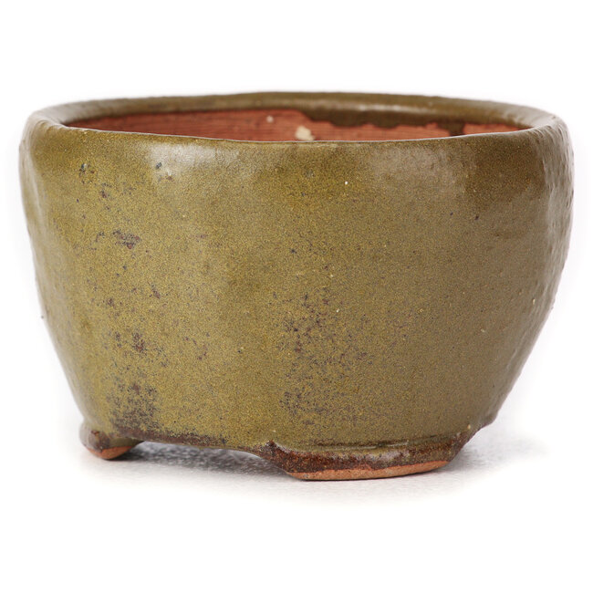 Round green and brown bonsai pot by Bonsai - 65 x 65 x 40 mm