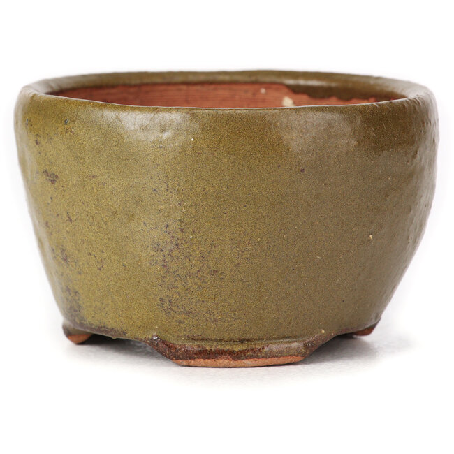 Ronde groene en bruine bonsaipot van Bonsai - 65 x 65 x 40 mm