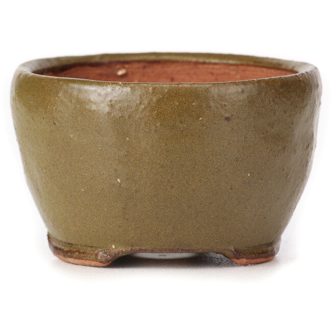 Pot à bonsaï rond vert et marron par Bonsai - 65 x 65 x 40 mm