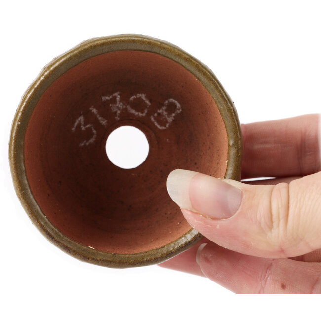 Pot à bonsaï rond vert et marron par Bonsai - 65 x 65 x 40 mm