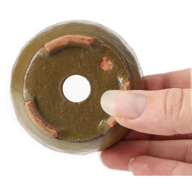 Pot à bonsaï rond vert et marron par Bonsai - 65 x 65 x 40 mm