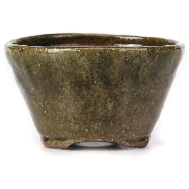 Runde grüne Bonsaischale von Bonsai - 75 x 75 x 45 mm