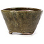 Pot à bonsaï rond vert par Bonsai - 75 x 75 x 45 mm