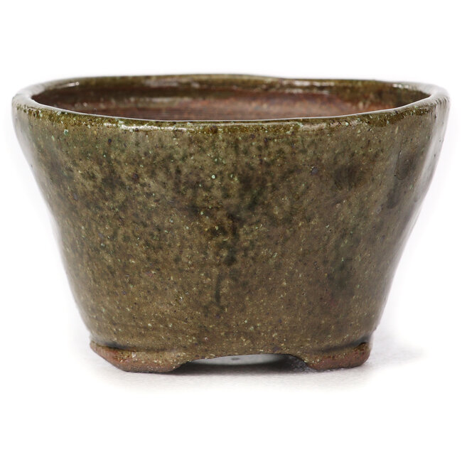 Vaso bonsai rotondo verde di Bonsai - 75 x 75 x 45 mm