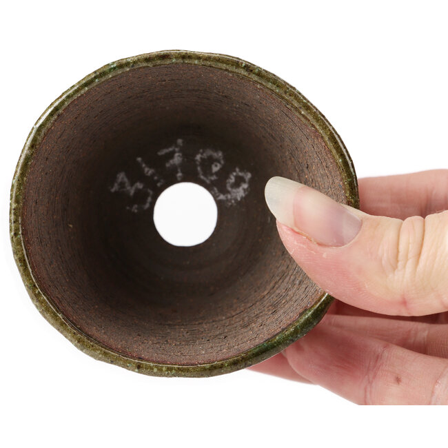 Round green bonsai pot by Bonsai - 75 x 75 x 45 mm