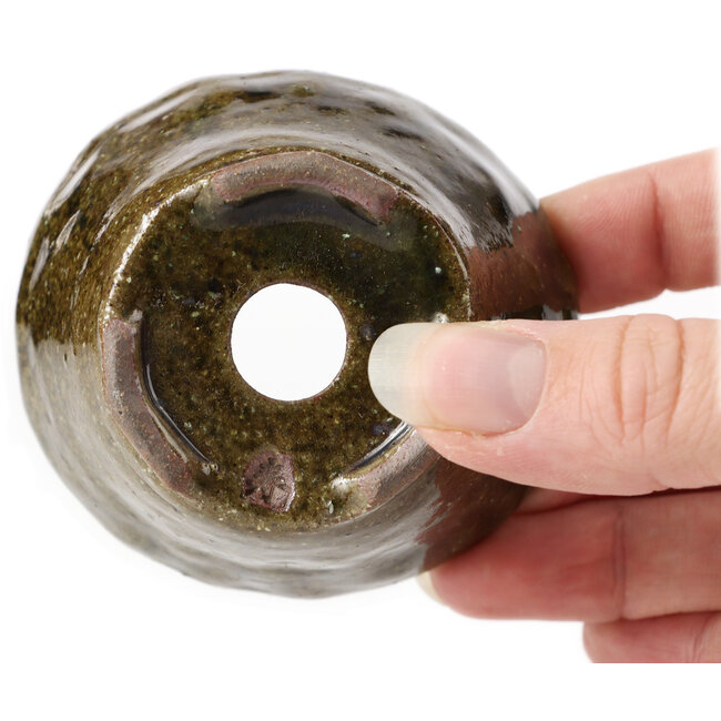 Pot à bonsaï rond vert par Bonsai - 75 x 75 x 45 mm