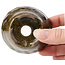 Pot à bonsaï rond vert par Bonsai - 75 x 75 x 45 mm