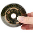 Pot à bonsaï rond vert par Bonsai - 80 x 80 x 45 mm