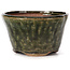 Ronde groene bonsai pot van Bonsai - 70 x 70 x 40 mm