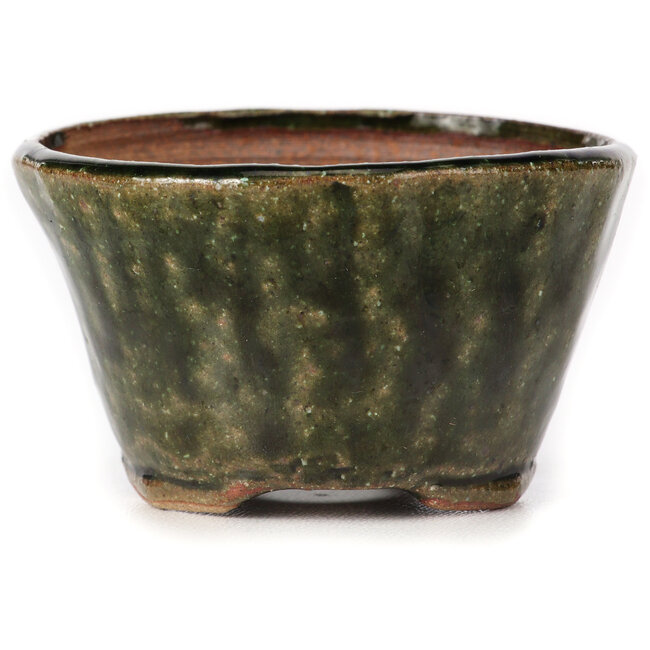 Vaso bonsai rotondo verde di Bonsai - 70 x 70 x 40 mm