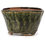 Vaso bonsai rotondo verde di Bonsai - 70 x 70 x 40 mm