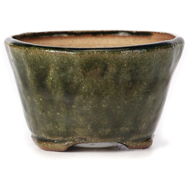 Pot à bonsaï rond vert par Bonsai - 70 x 70 x 40 mm