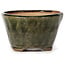 Vaso bonsai rotondo verde di Bonsai - 70 x 70 x 40 mm