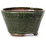 Pot à bonsaï rond vert par Bonsai - 70 x 70 x 40 mm